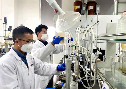 國家能源集團PAO基礎(chǔ)油成套技術(shù)成功填補國內(nèi)技術(shù)空白