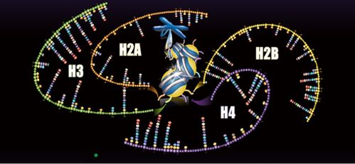 聚焦蛋白質組學技術開發與應用，景杰生物完成5.3億元B輪融資以加速技術推廣