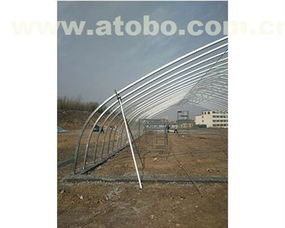 安陽(yáng)市騰達(dá)農(nóng)業(yè)技術(shù)推廣服務(wù)有限責(zé)任公司 農(nóng)用機(jī)械熱賣(mài)促銷(xiāo)與專(zhuān)業(yè)咨詢(xún)一站式服務(wù)